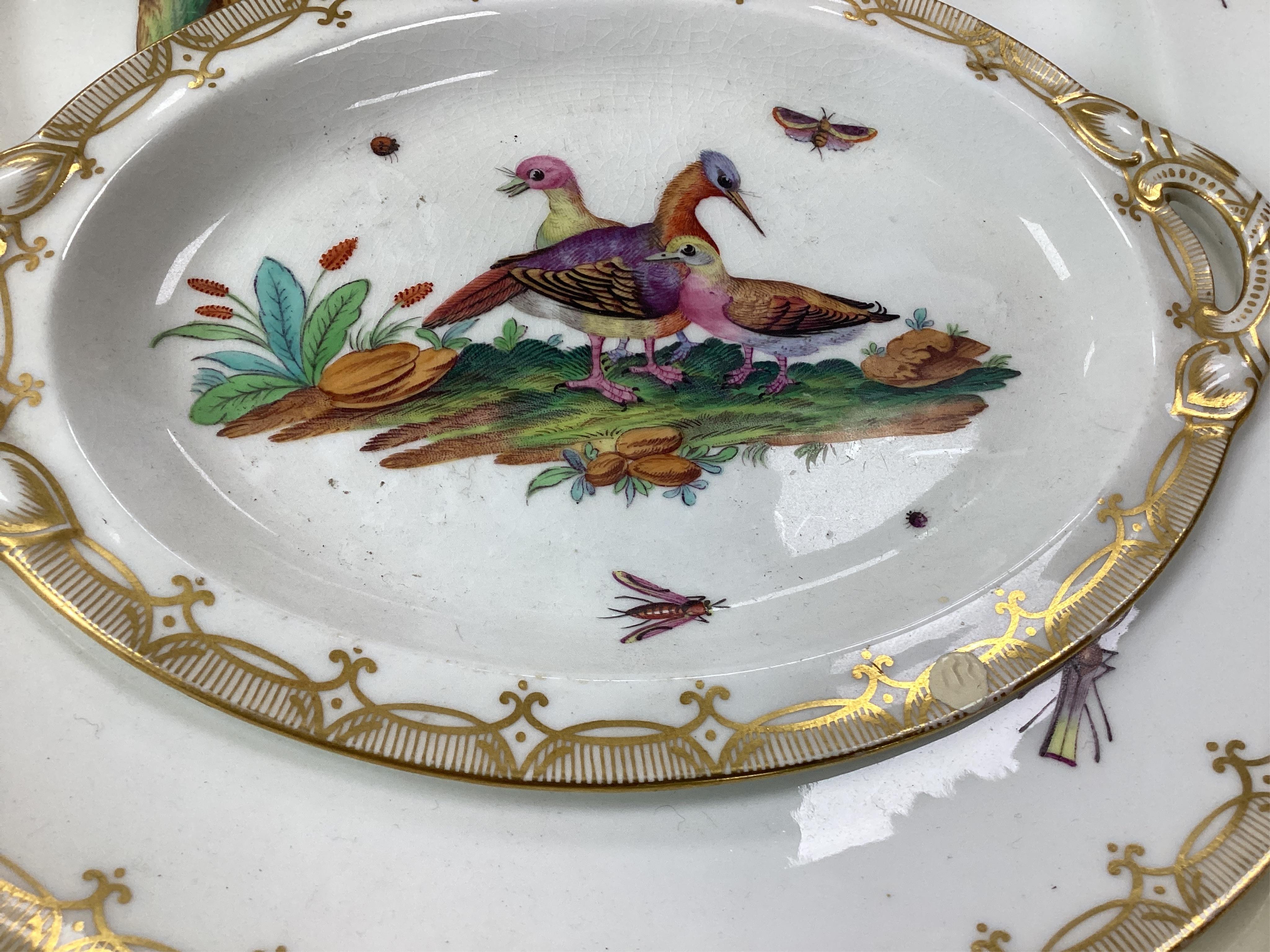 A Coalport bird painted part dinner service, mid 19th century